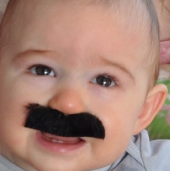 Meet your Posher, Maxie - Picture 1 of 1